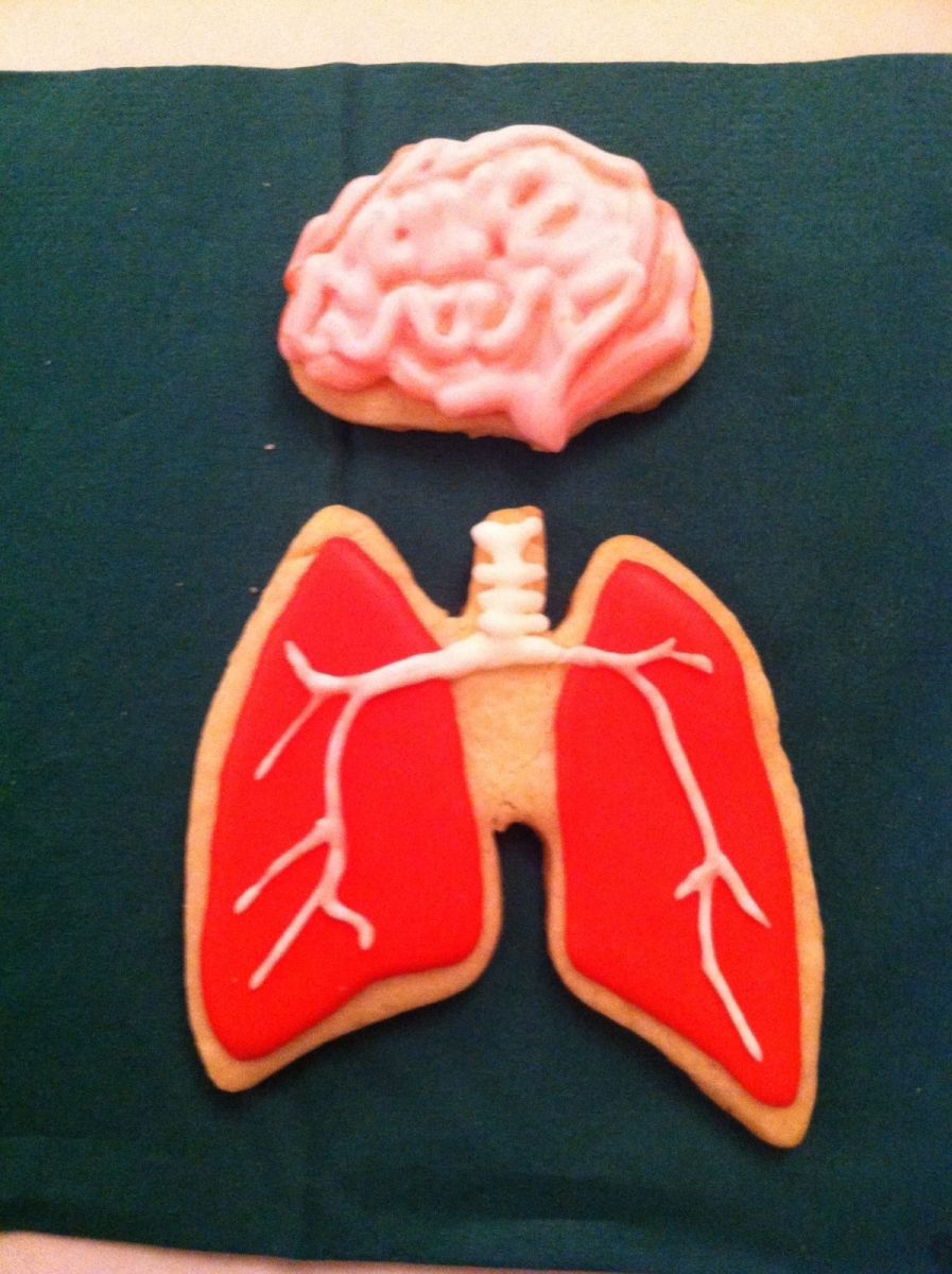 lung&brain cookies