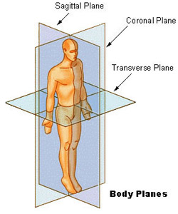 planes Of The body