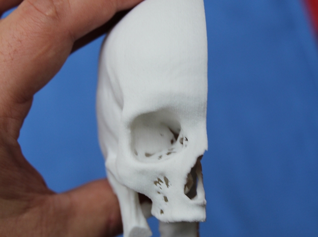 3D printed half skull